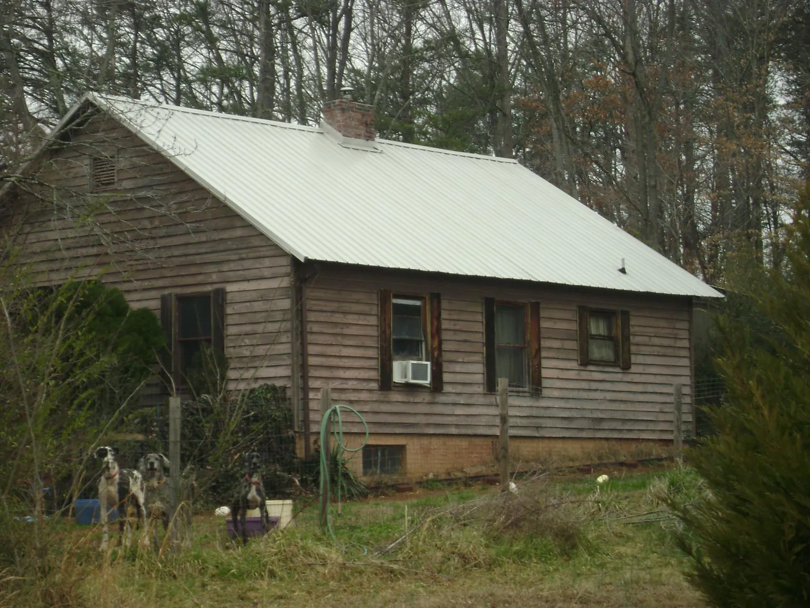 White metal roof on an old wood sided farmhouse, from a Asphalt Shingle Roof Repair job in Mead
